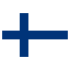 flag-fin flag-fin